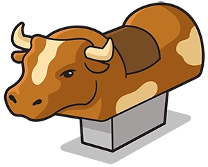 Mechanical Bull Rental